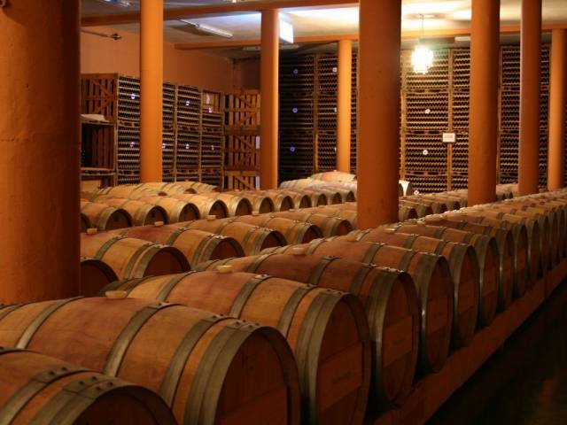 Bodegas del Palacio